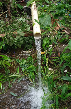 Photo of a small spring flowing into a natural basin